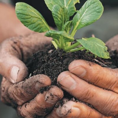 Screenshot 2025-10-30 121409