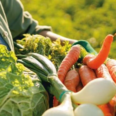 Screenshot 2025-10-30 123506